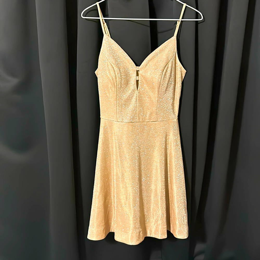 Xtraordinary gown
